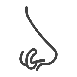 Nostril width and shape icon
