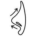 Nose tip projection and angle icon