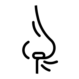 Nasolabial angle measurement icon