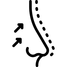 Nose length to face height ratio icon